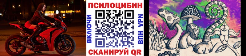 Псилоцибиновые грибы Psilocybe Новосокольники